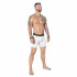 Подовжені чоловічі труси-боксери Camotec Boxer Briefs X-Dry Long